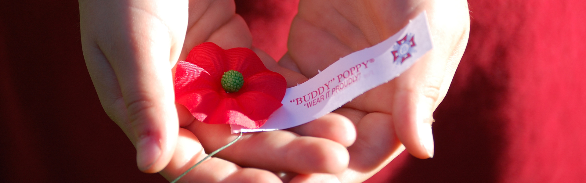 Buddy Poppy